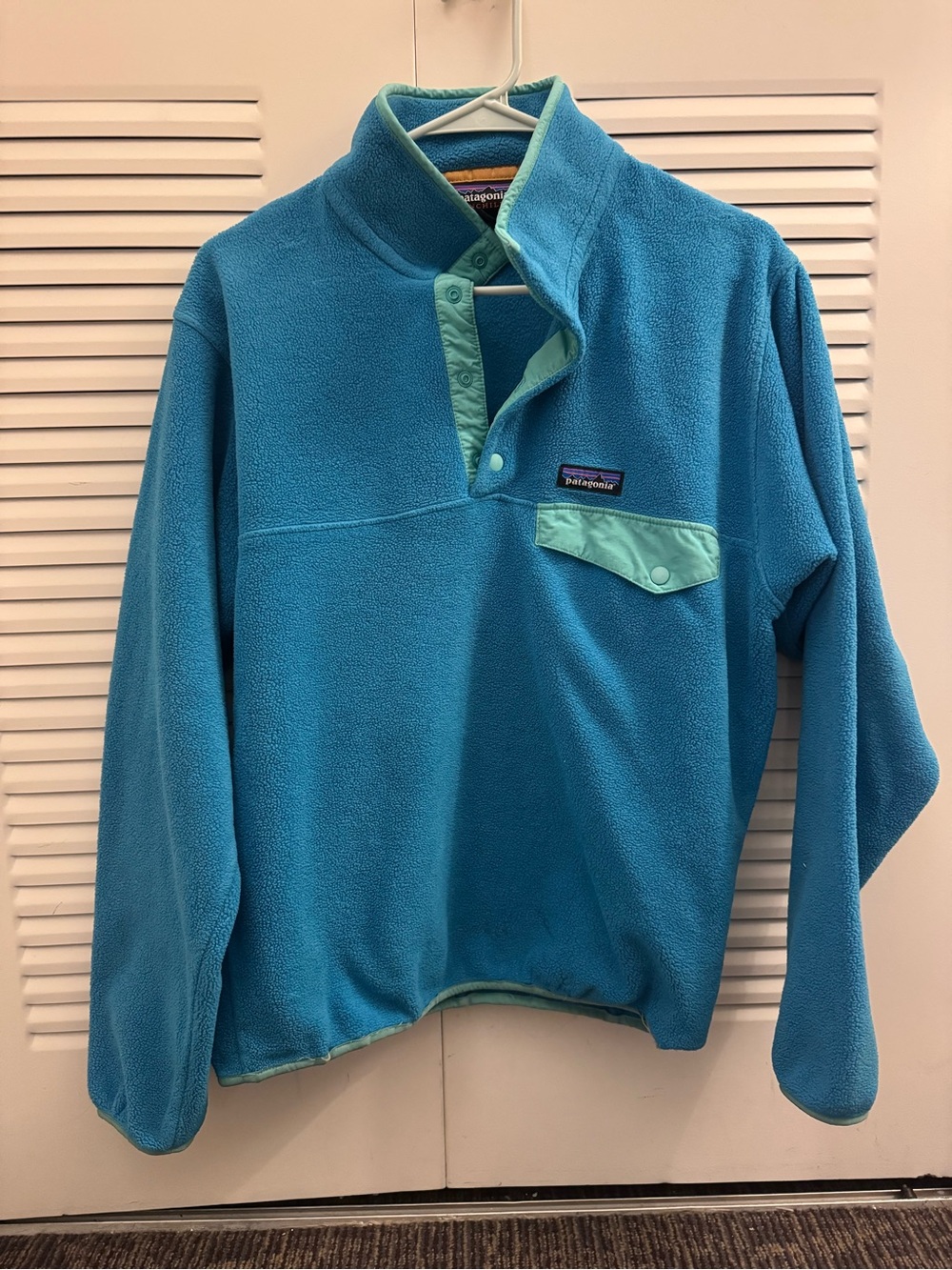 Patagonia  Teal & Mint Snap-T Fleece Pullover